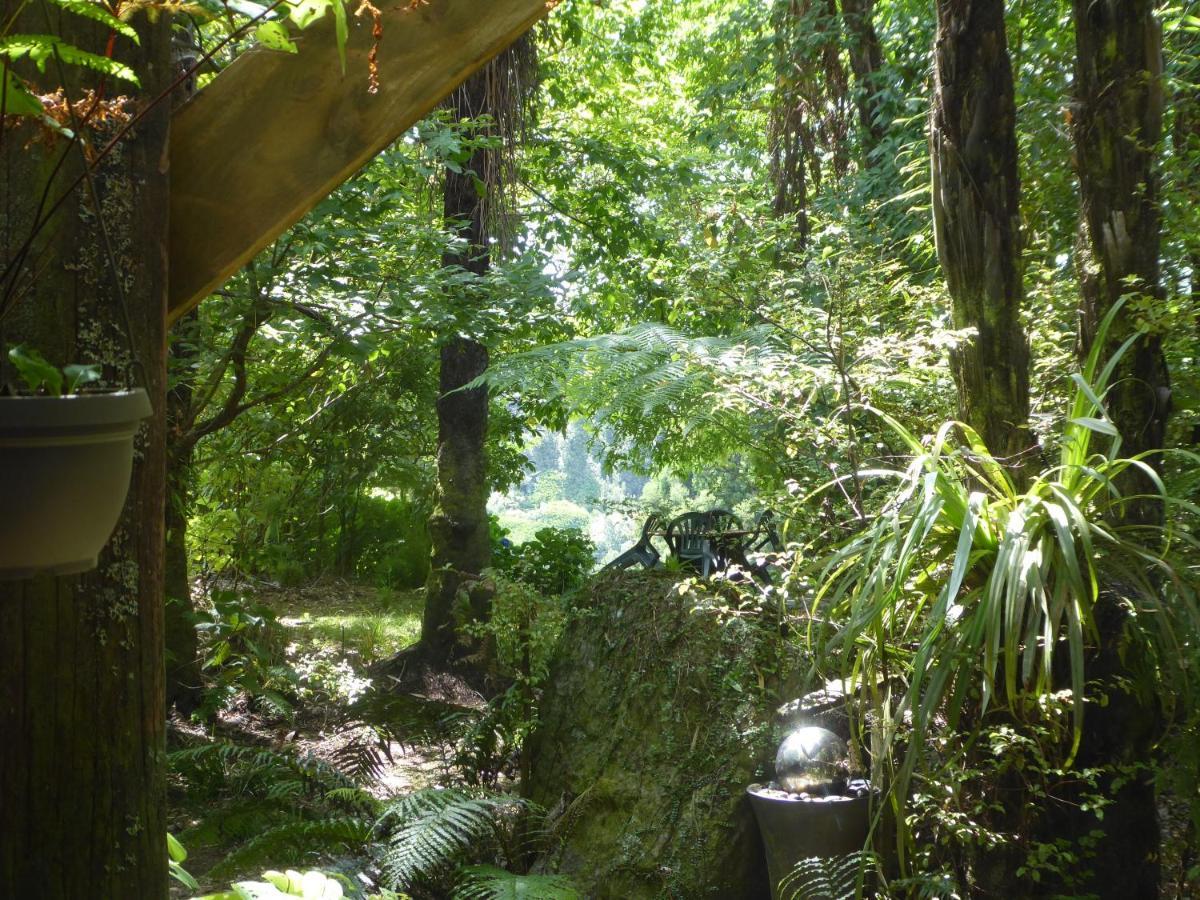 图图山生态保护区住宿加早餐旅馆 Ohauiti 外观 照片